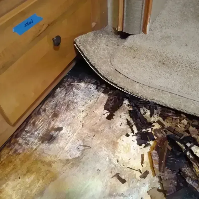 Wood Floor Water Damage in Clay County, KS